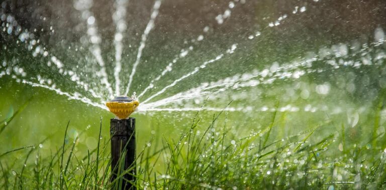 Gestagua gana en los IX Premios iAgua por su manejo del agua en Las Palmas de Gran Canaria