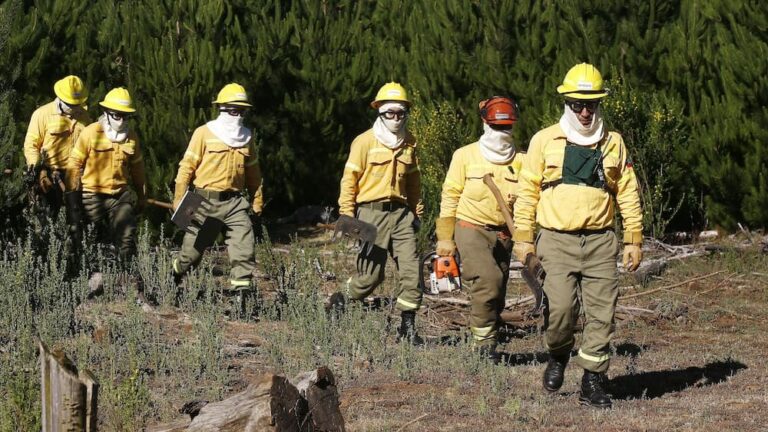 ARAUCO refuerza su estrategia de prevención de incendios con tecnología avanzada y alianzas locales
